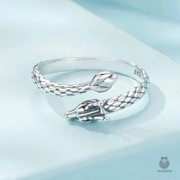 Accessoire dragon, anneau distinctif aux influences asiatiques