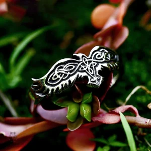Bague inspirée des corbeaux d'Odin, design original