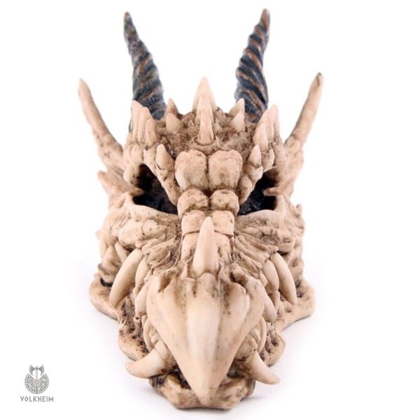 Tirelire dragon, design crâne pour décor original